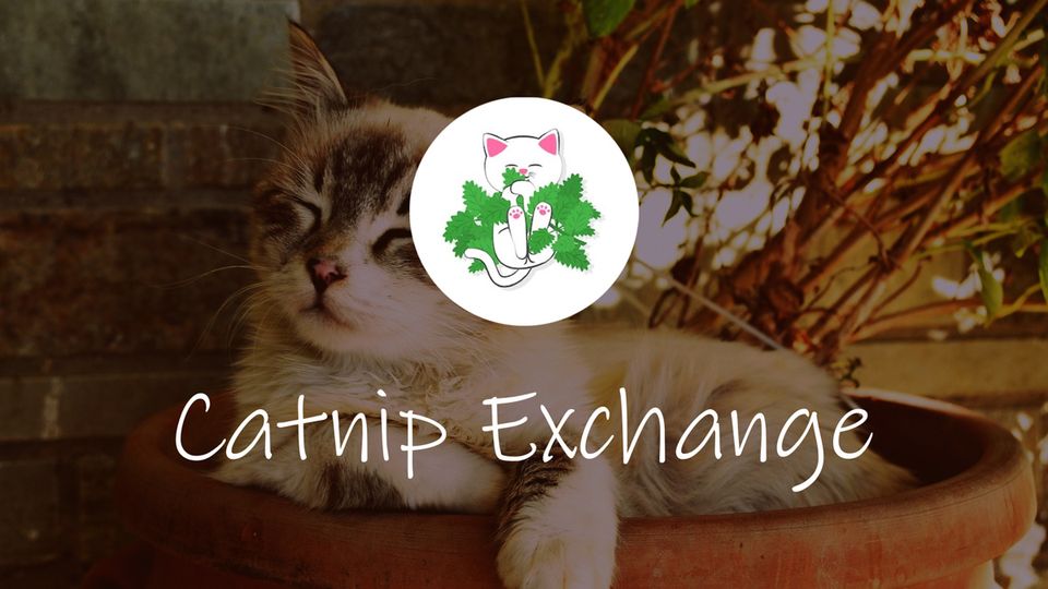 Catnip Exchange Makes Prediction Markets Usable